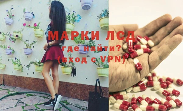 мяу мяу мука Гусиноозёрск