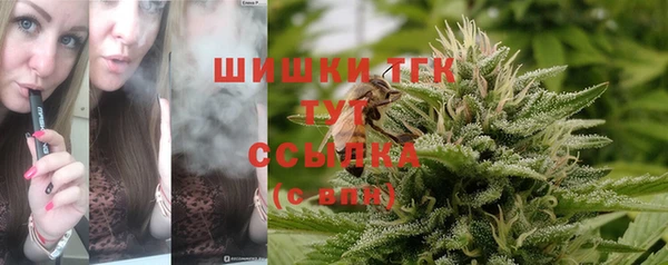 мяу мяу мука Гусиноозёрск