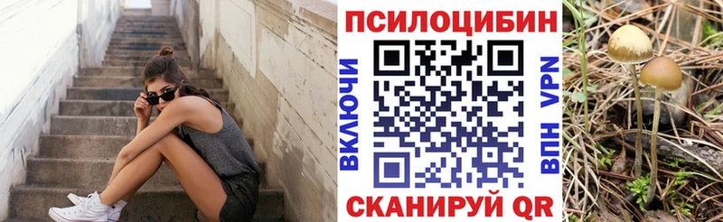 Псилоцибиновые грибы прущие грибы  Мурманск 